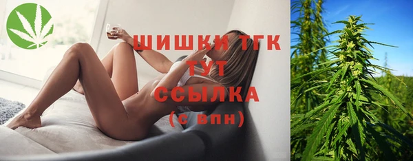 крисы Белокуриха