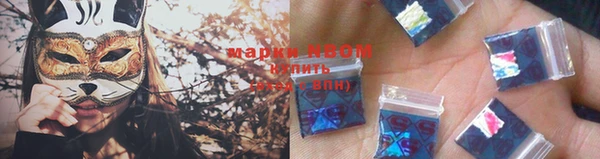 крисы Белокуриха