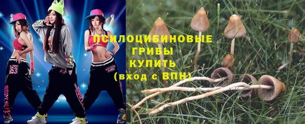 крисы Белокуриха