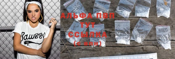 крисы Белокуриха