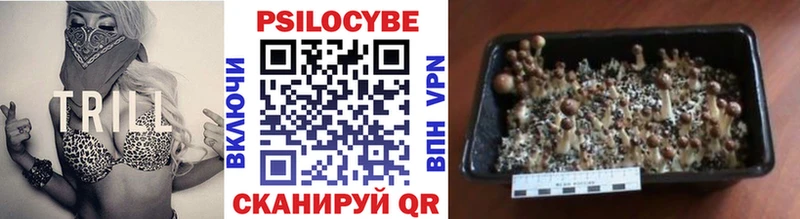 купить наркотики сайты  Цоци-Юрт  Галлюциногенные грибы мухоморы 