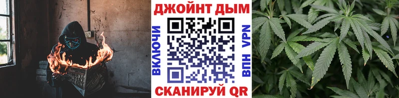 Бошки Шишки ГИДРОПОН  Цоци-Юрт 